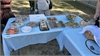 Picnic-03