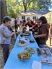 Picnic-08
