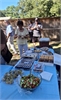 Picnic-09