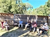 Picnic-11