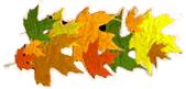leaves